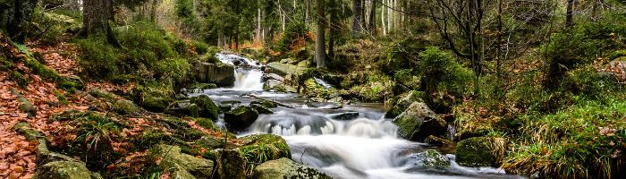 Harz